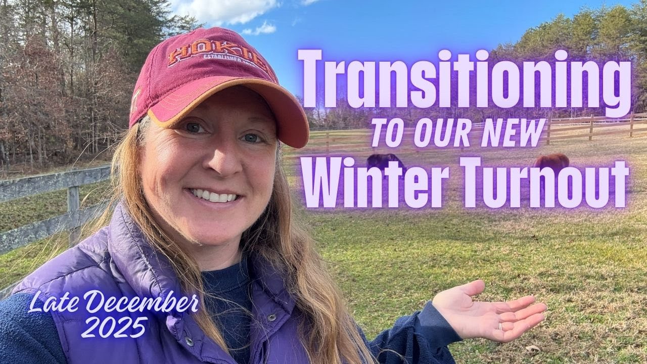 Transitioning to the Winter Turnout