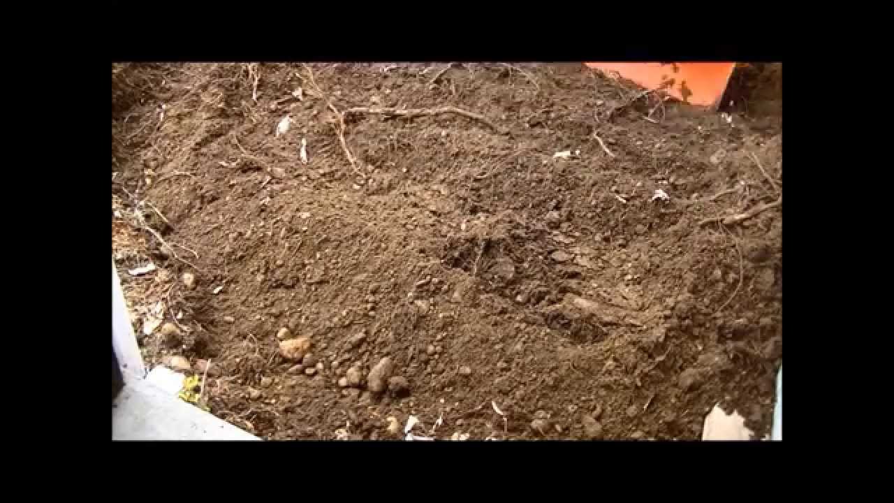 BHM-5 3 point backhoe digging more stumps