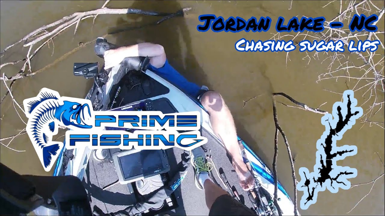 PrimeTime on Jordan Lake - Collins Bass for Cash 2022 Jordan Lake Bass Tournament
