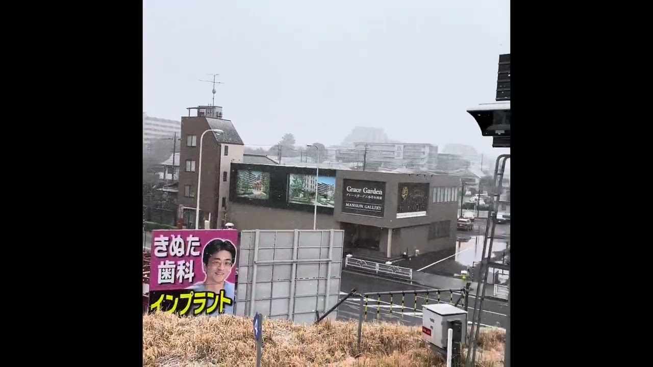 Fakemink Winter Mix