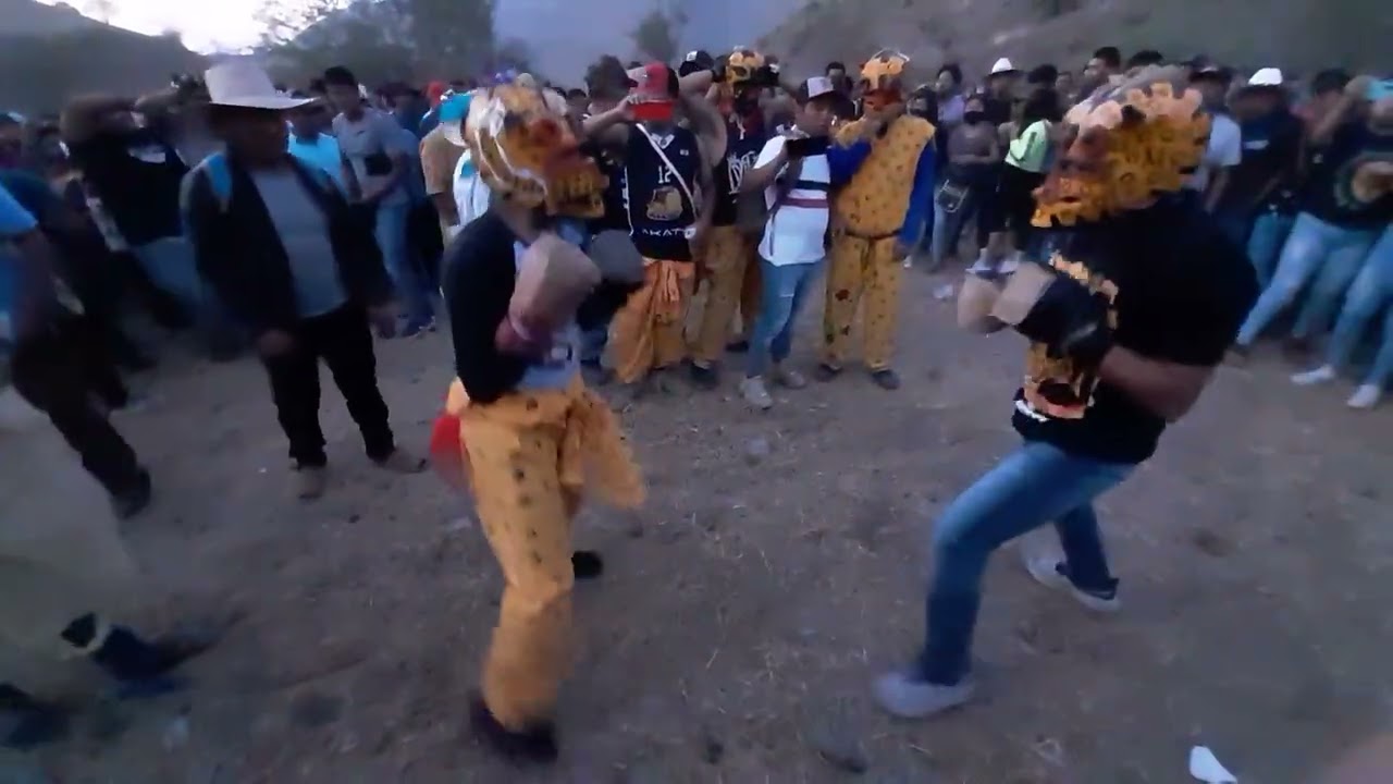 Pelea de tigres Acatlán gro 25