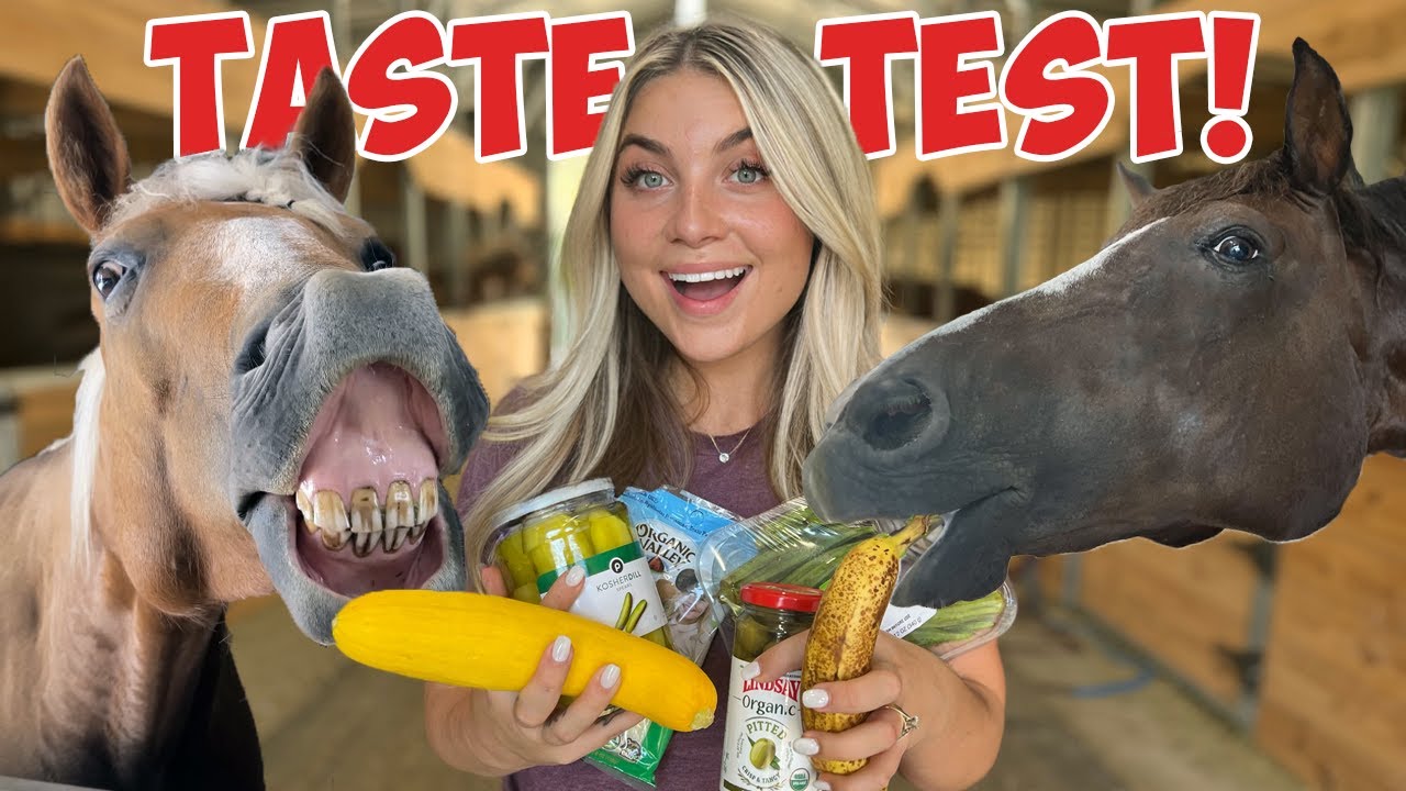HORSE TASTE TEST CHALLENGE!