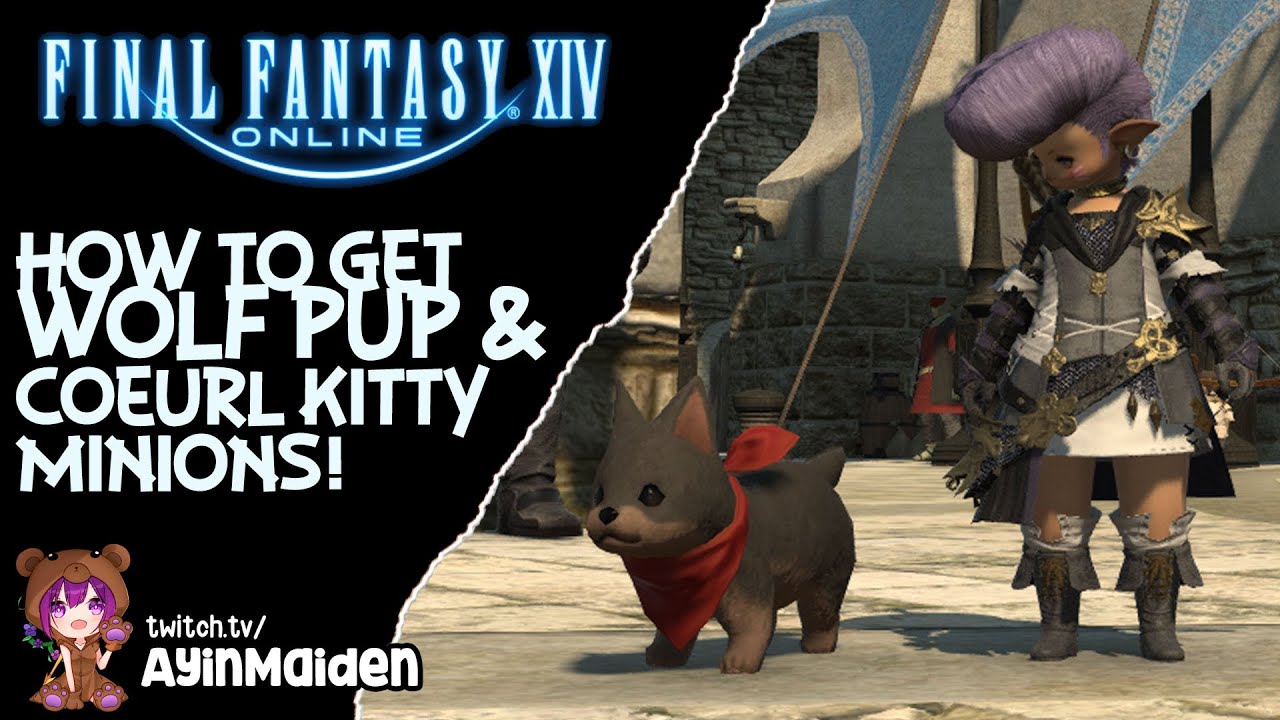 FFXIV - How to get Wolf Pup & Coeurl Kitty minions!
