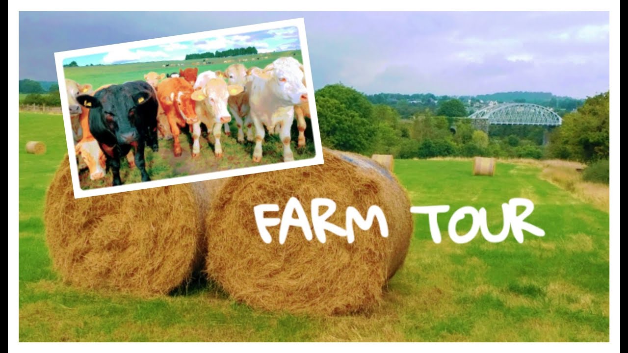 HAY FARM TOUR | FARM ANIMALS | #hayfarm #farmtour #farmanimals #ireland  | IRISH PH