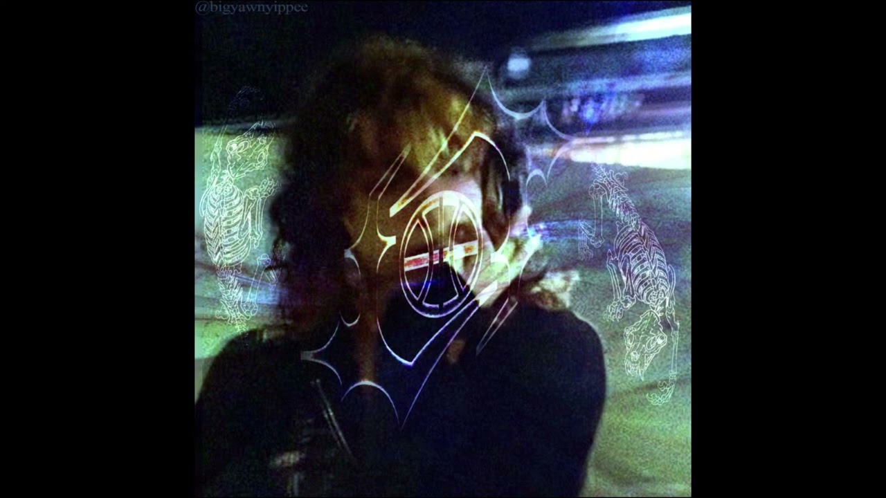 [FREE FOR PROFIT] slayr & Lucy Bedroque & waera type beat 