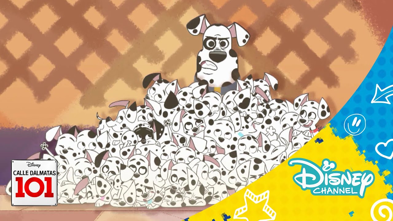 Calle Dálmatas 101:  El regreso de Cruella de Vil | Disney Channel Oficial