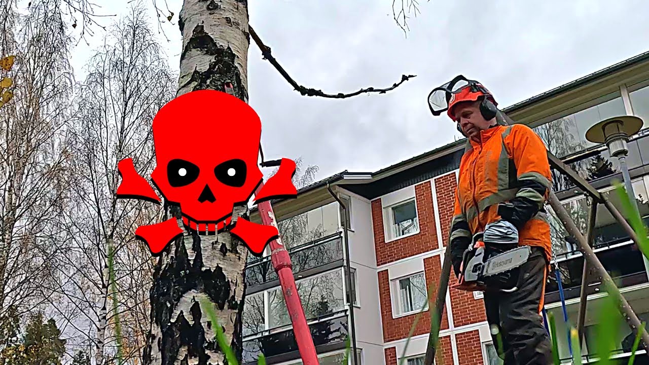 This Tree Poses a Grave Danger - See Why