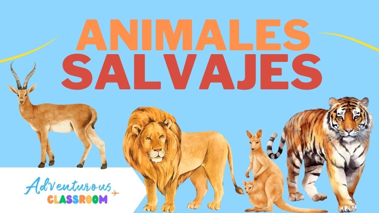 Animales Salvajes en español para niños/Wild Animals in Spanish for kids/Learn Spanish