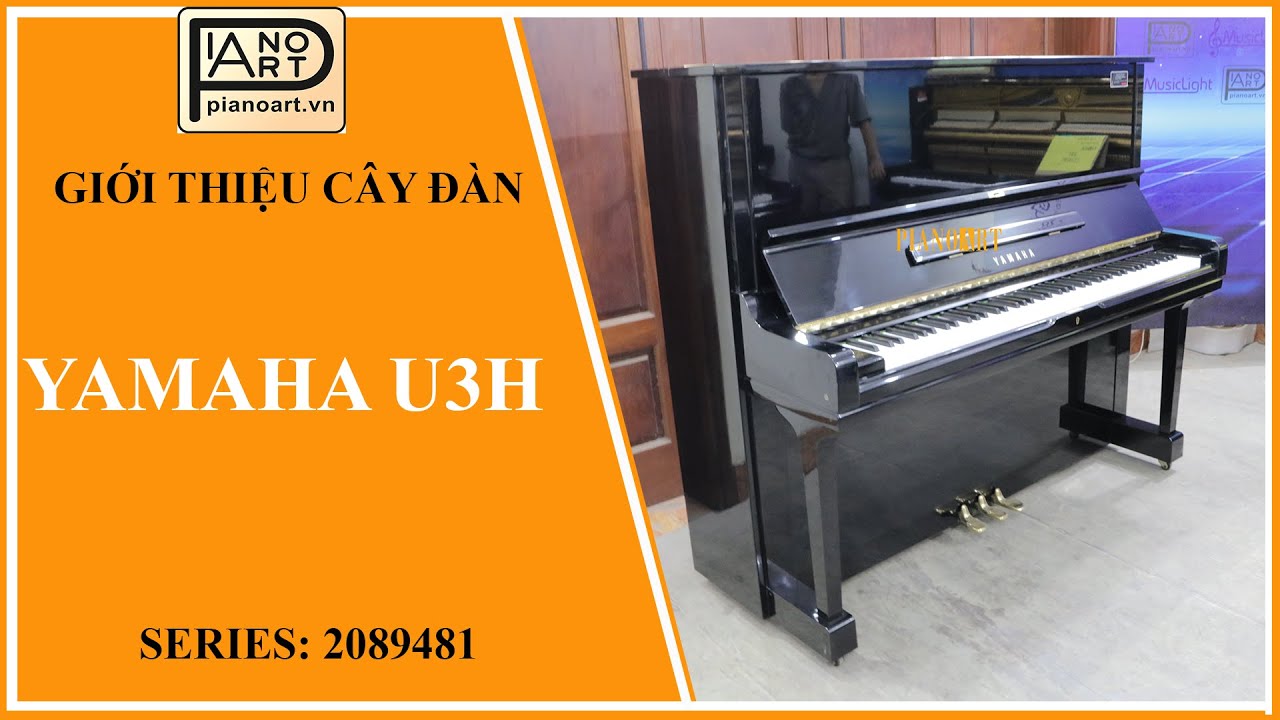 Yamaha U3H là lựa chọn hàng đầu với ai tìm kiếm một cây đàn chất lượng cao, mức giá hợp lý - 2089481