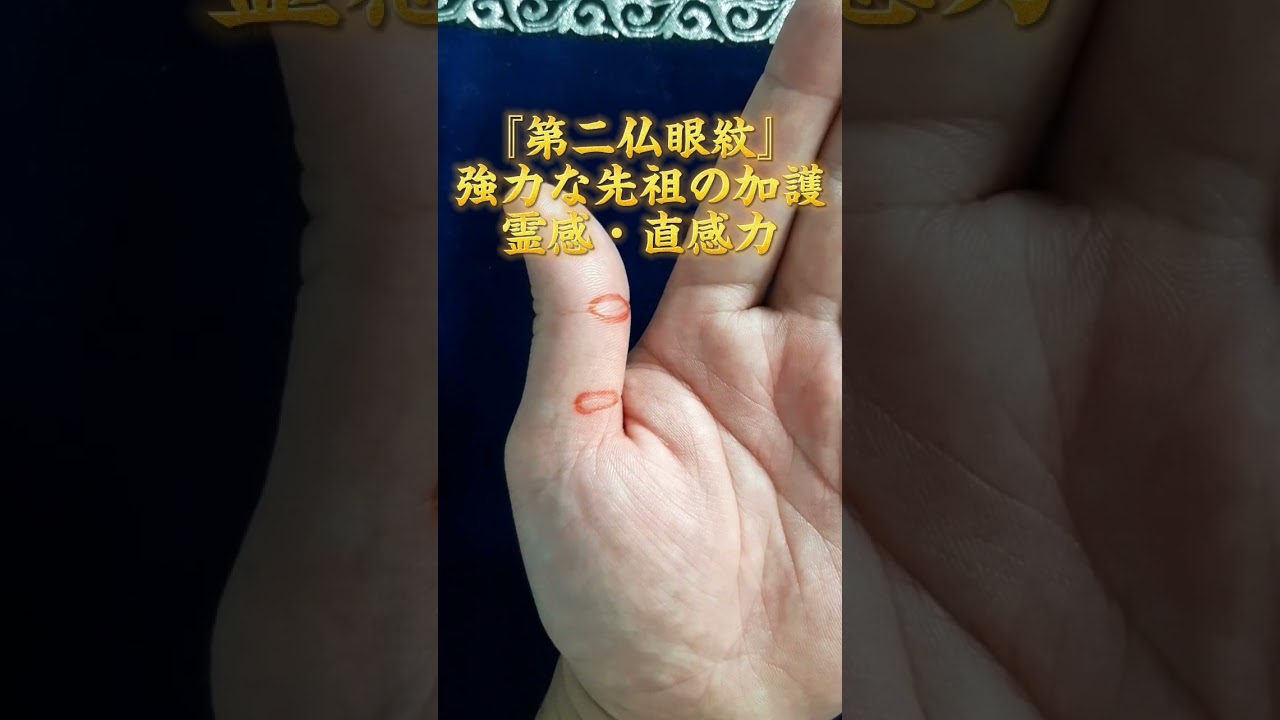 【手相】『第二仏眼紋』強力な先祖の加護、霊感・直感力 #手相 #手相占い #仏眼相 相 #手相鑑定