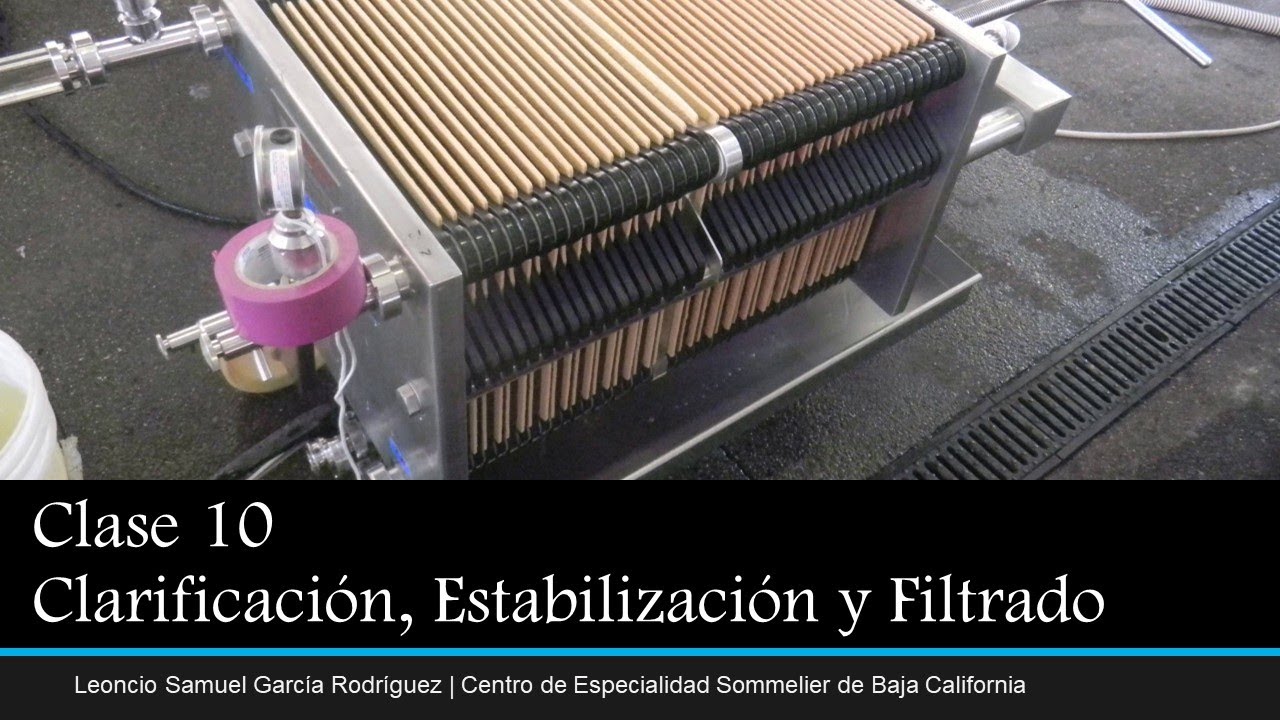 Producción de Vino - Clase 10: Clarificacion, estabilizacion y filtrado