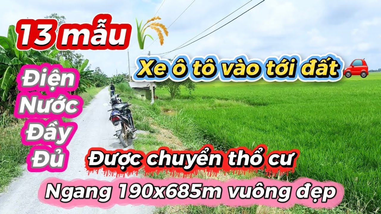 ( số 2 ) 13 mẫu đất lúa siêu đẹp,điện nước đầy đủ,xe 5 tấn tới đất tại Tân Hưng - Long An
