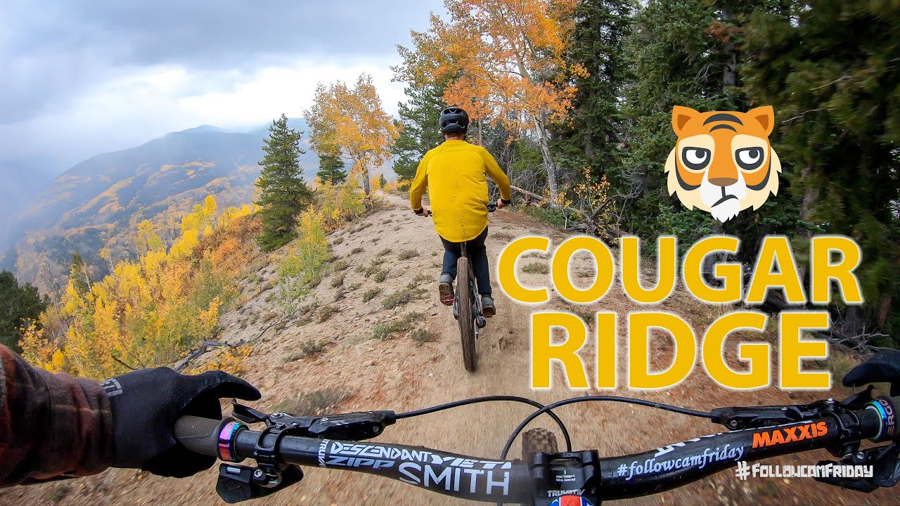 Riding Cougar Ridge In Vail, Colorado