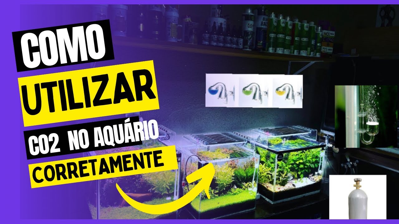 Como utilizar co2 no aquário de forma correta #aquarioplantado
