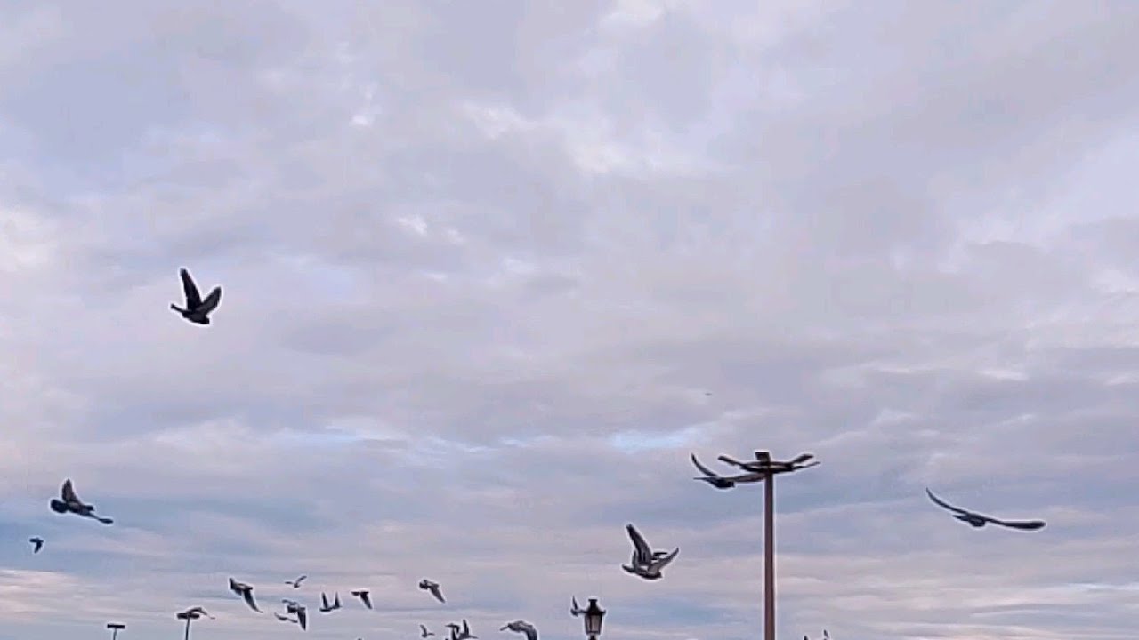 البوم غير مع شهر الخير مرحبا بكم ياغوالي