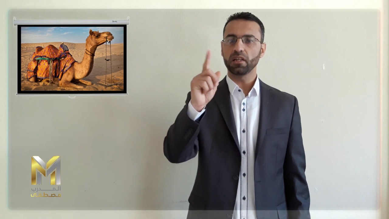 خطام الناقة