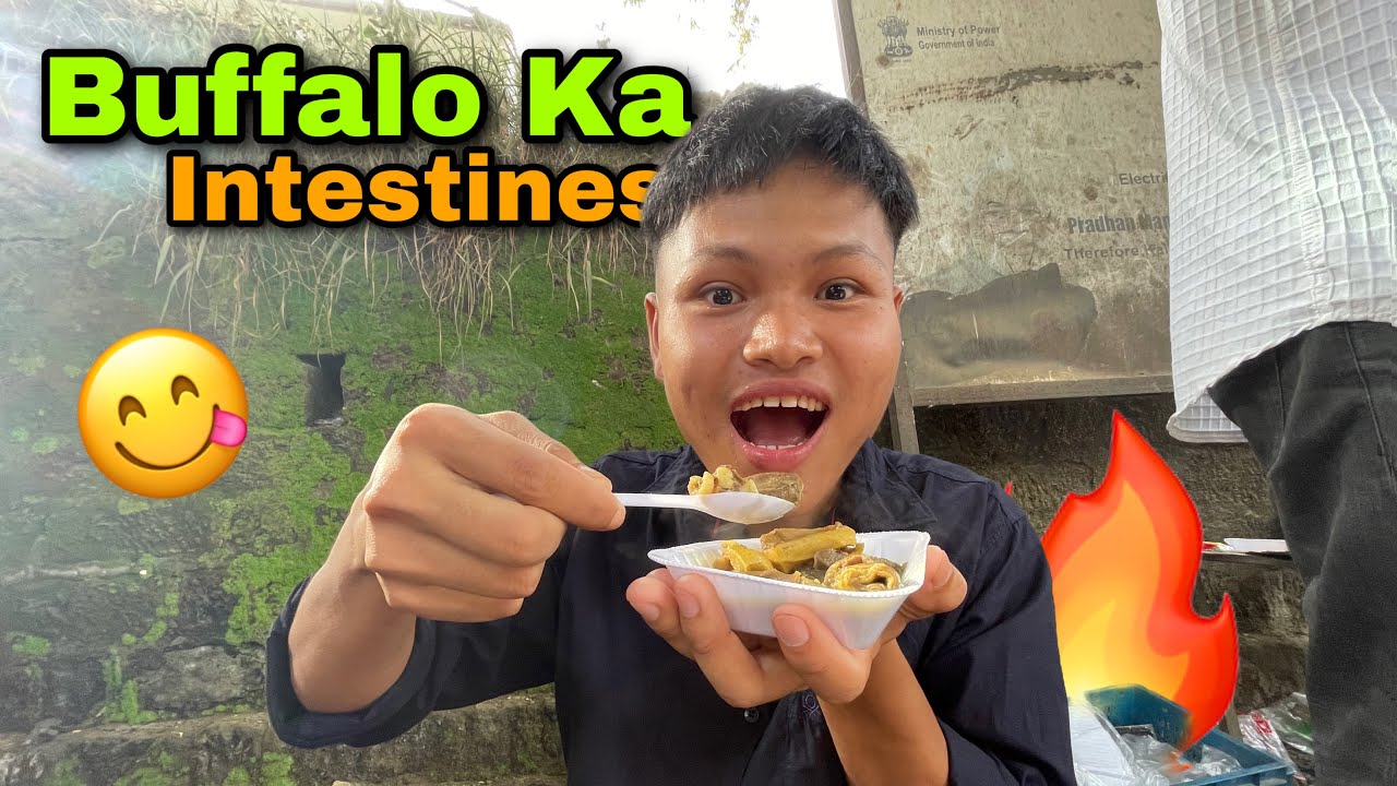 Buffalo Ka Intestines 🔥