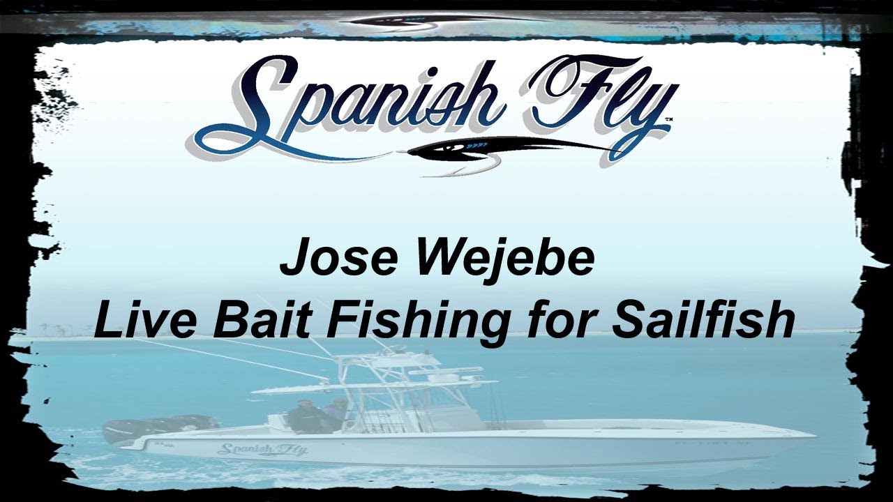 Sailfish: Live Bait Fishing off Key West - Jose Wejebe/Spanish Fly TV
