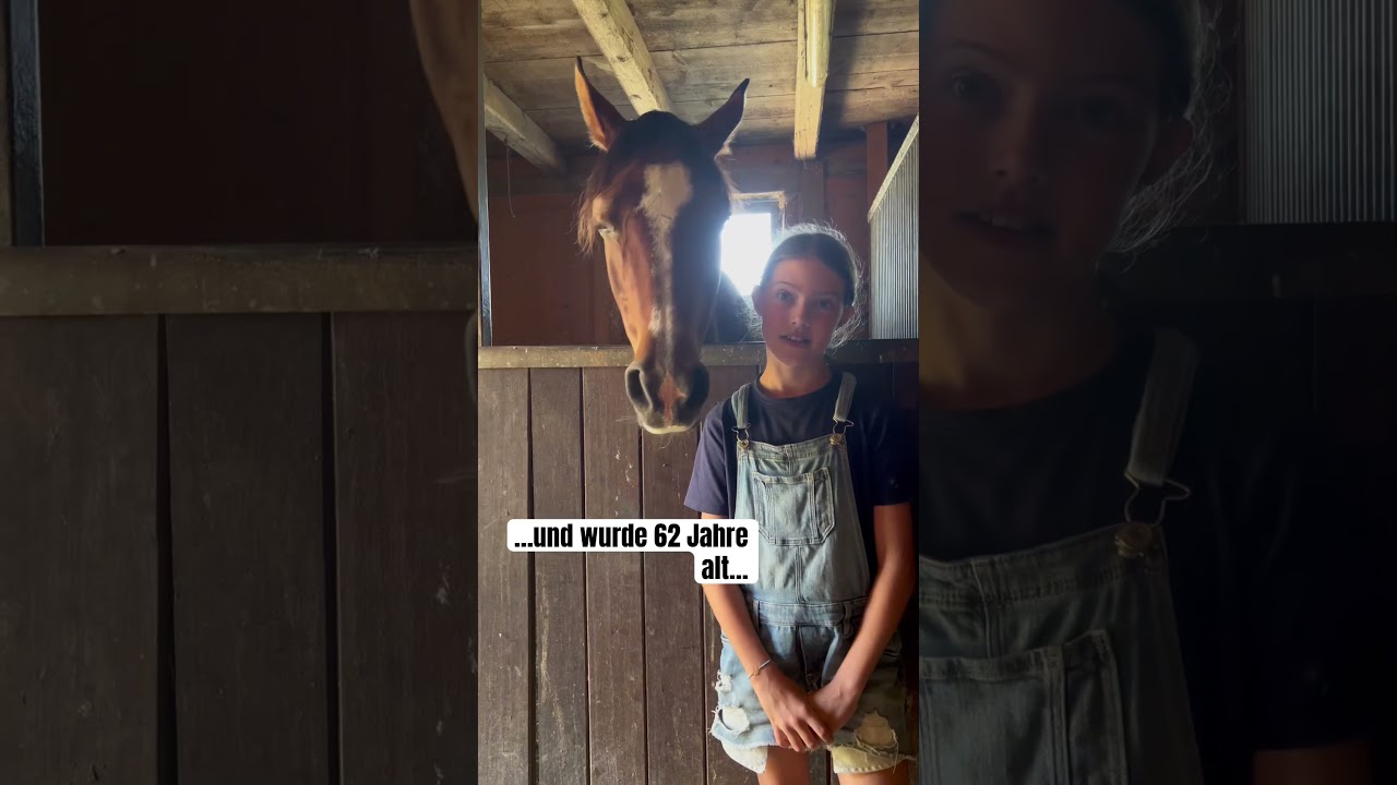 Wie alt werden #pferde ? #reiten #pferd #pony #horse #bayern #hafi #allg&auml;u #ponyherz