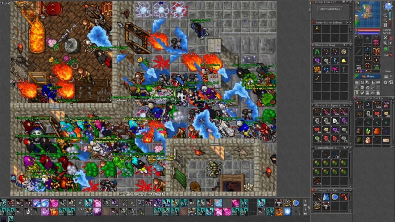Tibia Helera - Falcons Fight