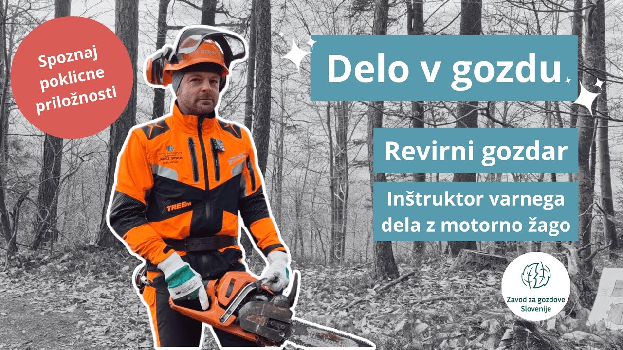 Kaj dela inštruktor motorne žage? | Predstavitev poklicev | Interreg SI-AT LifeLongWood