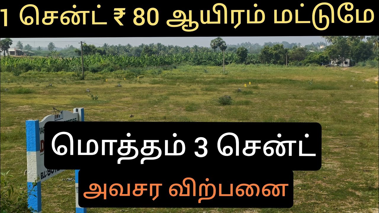 மிகவும் அவசர விற்பனை 1 சென்ட் ₹ 80 ஆயிரம் மட்டுமே 1 சைட் 3 சென்ட் மொத்தம் 4 சைட் மட்டுமே உள்ளன