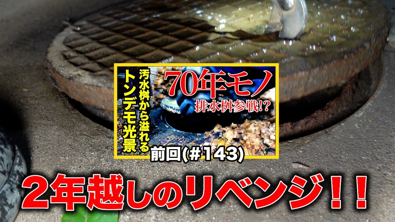 ７０年モノの排水桝！？排水管に詰まっている何だこれ、実は伏線も？２年前の花が登場【花のお掃除 #422】