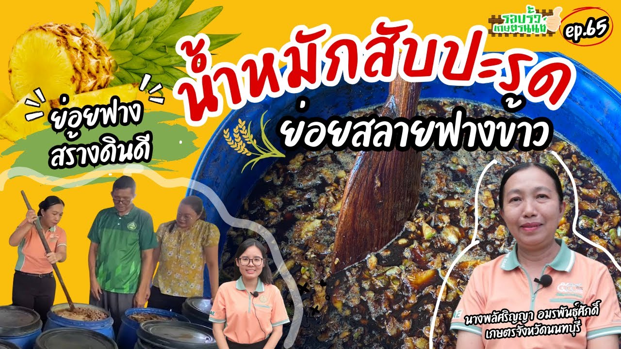 รายการรอบรั้วเกษตรนนท์ ตอนที่ 65 น้ำหมักสับปะรดย่อยสลายฟางข้าว