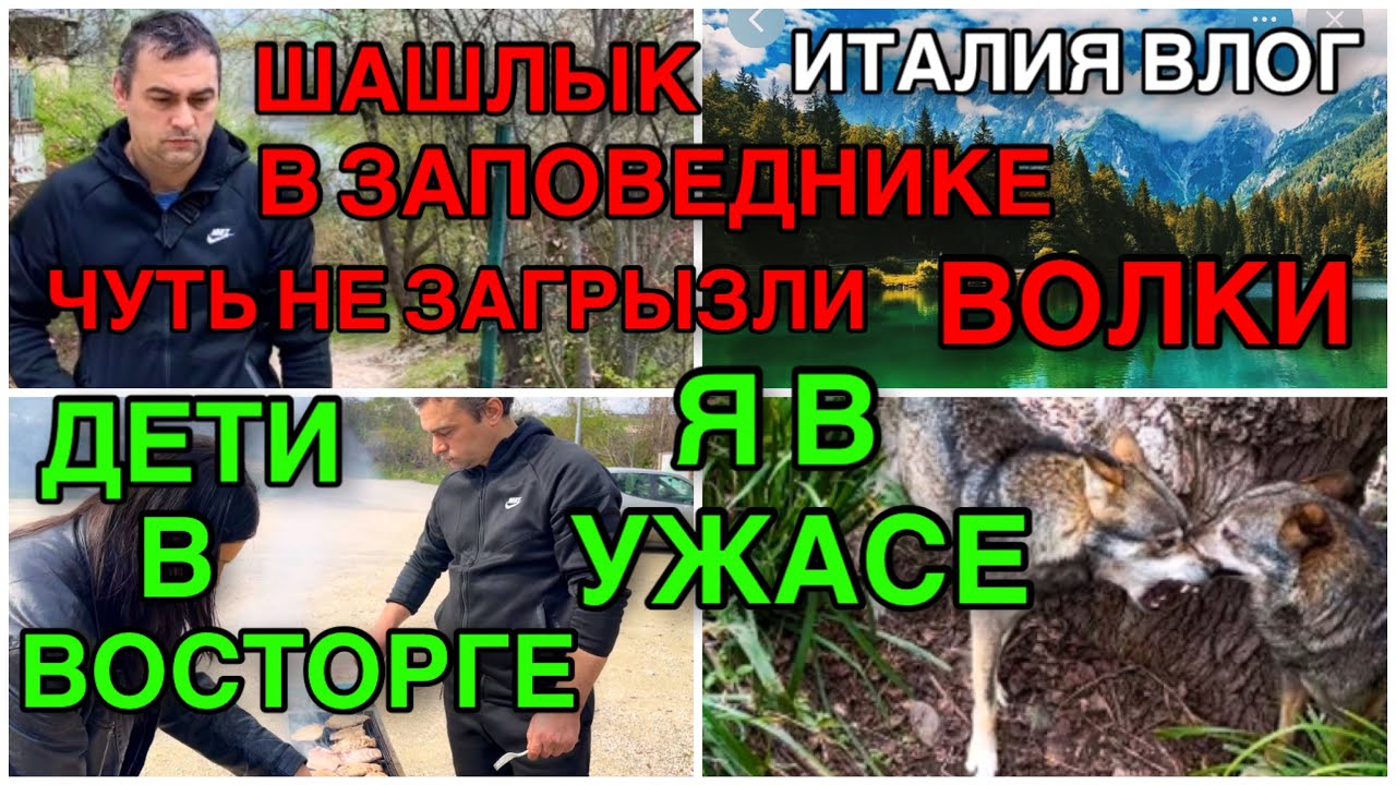 ИТАЛИЯ ВЛОГ, ШАШЛЫК В ЗАПОВЕДНИКЕ, ЧУТЬ НЕ ЗАГРЫЗЛИ ВОЛКИ, Я В УЖАСЕ, ДЕТИ В ВОСТОРГЕ