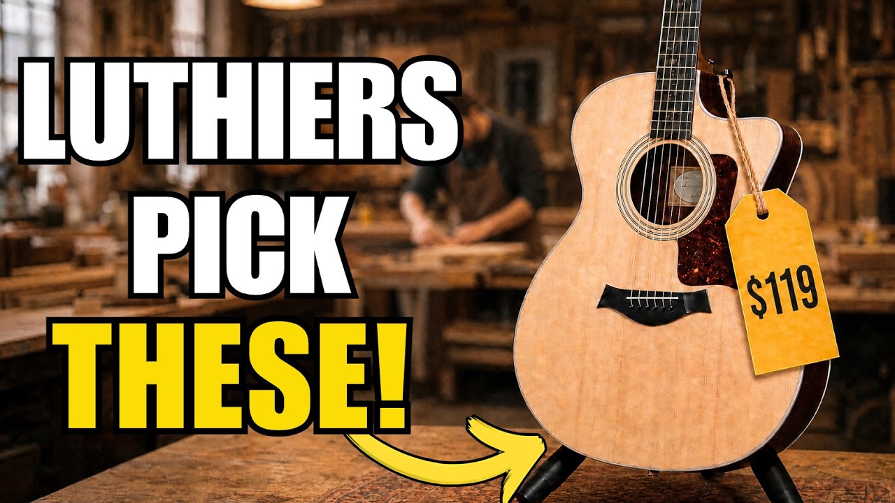 7 CHEAP Acoustic Guitars Luthiers Recommend Buying Instead Of A $3,400 Martin