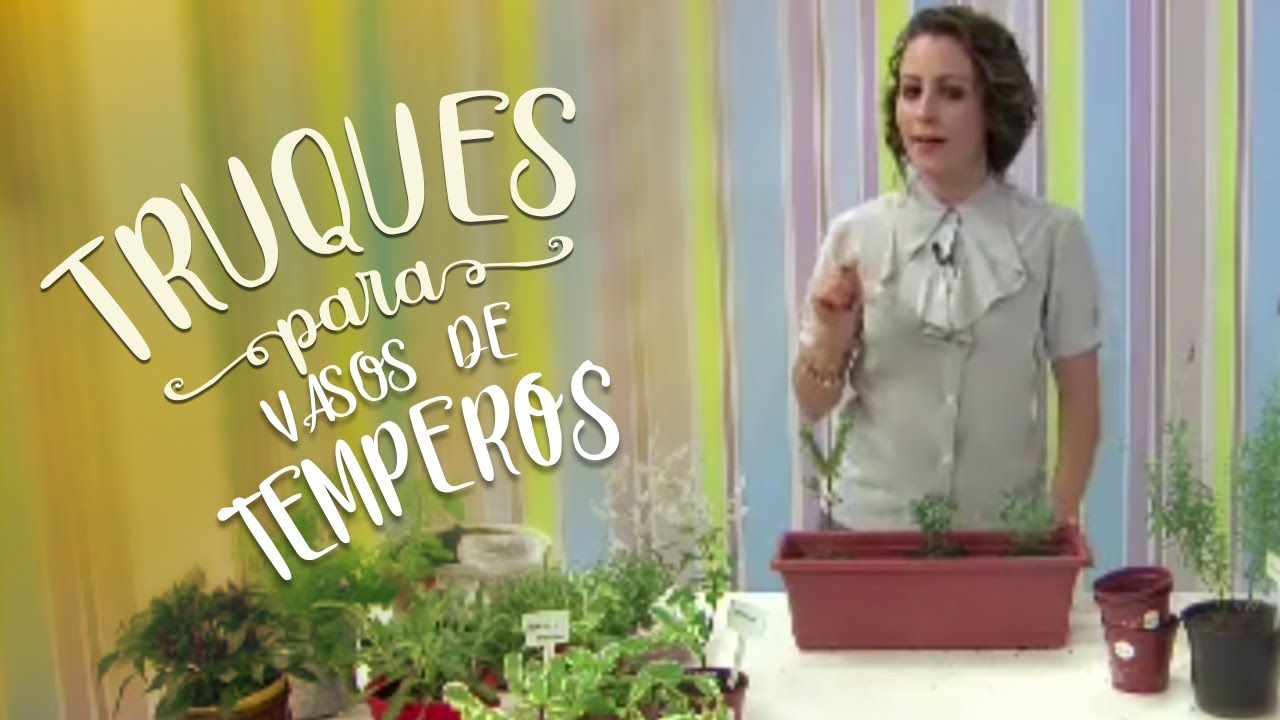 Truques para cultivar vasos de temperos, ervas aromáticas e até lavanda!