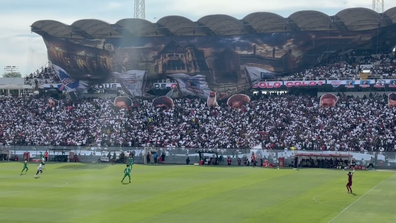 Colo Colo lo es todo …