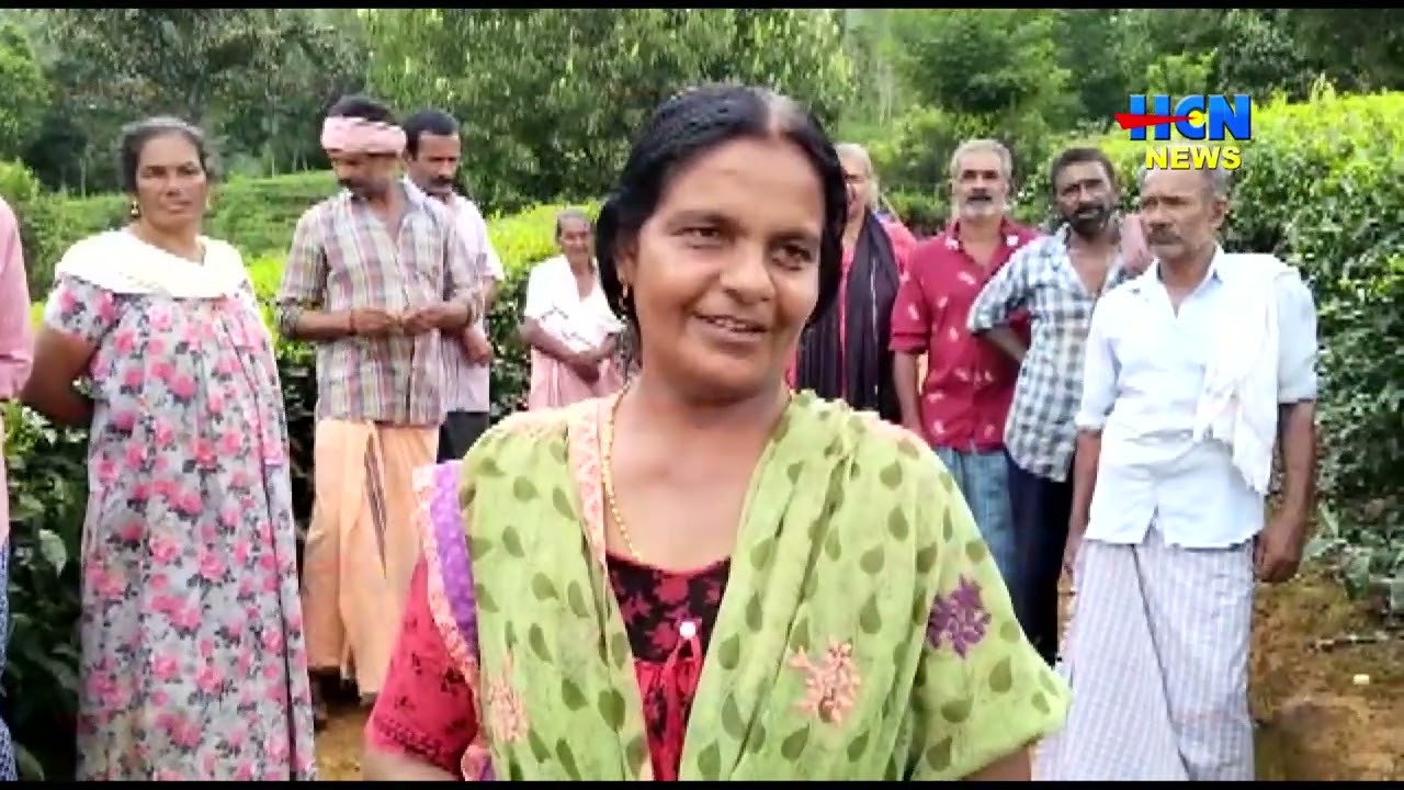 HCN NEWS 03 06 2023