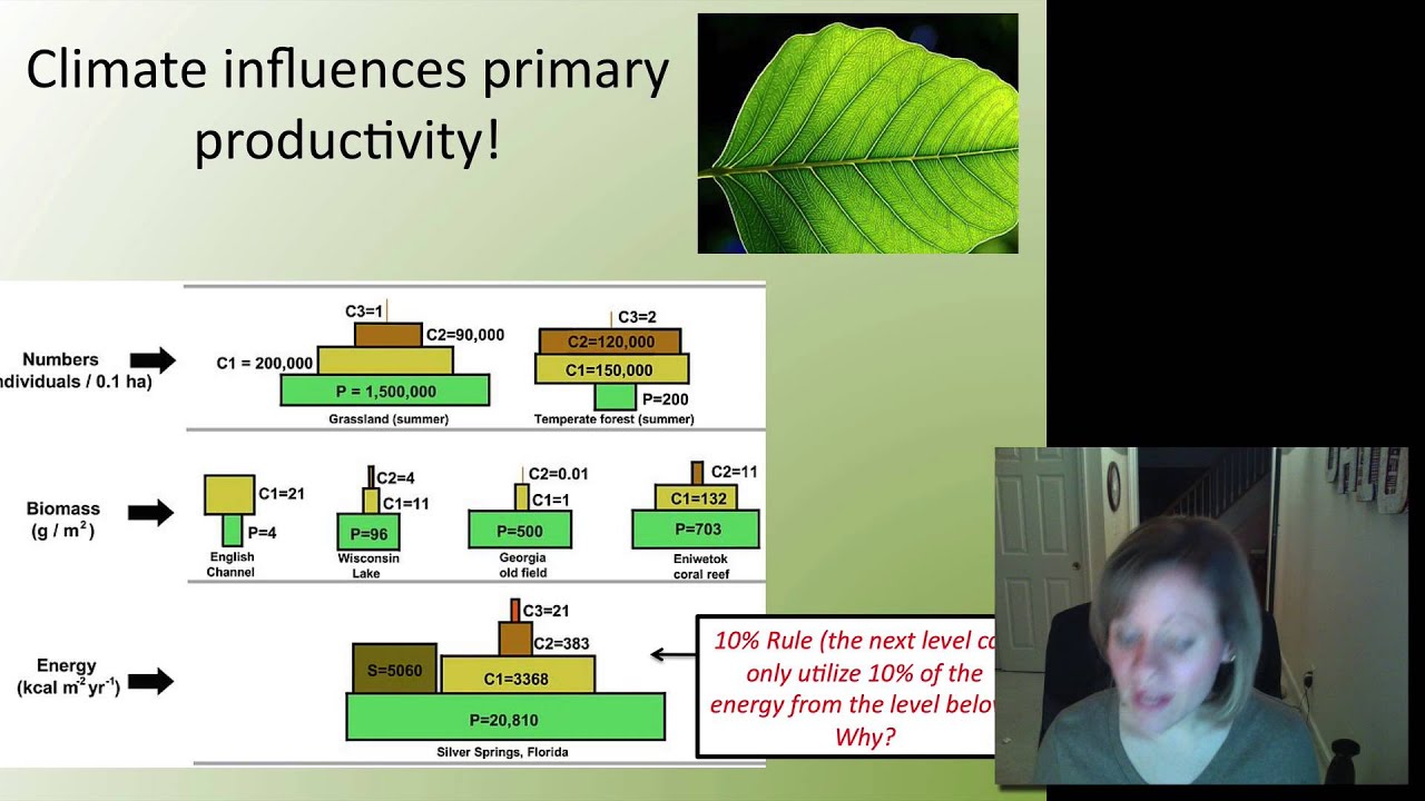 Interactions with the Environment