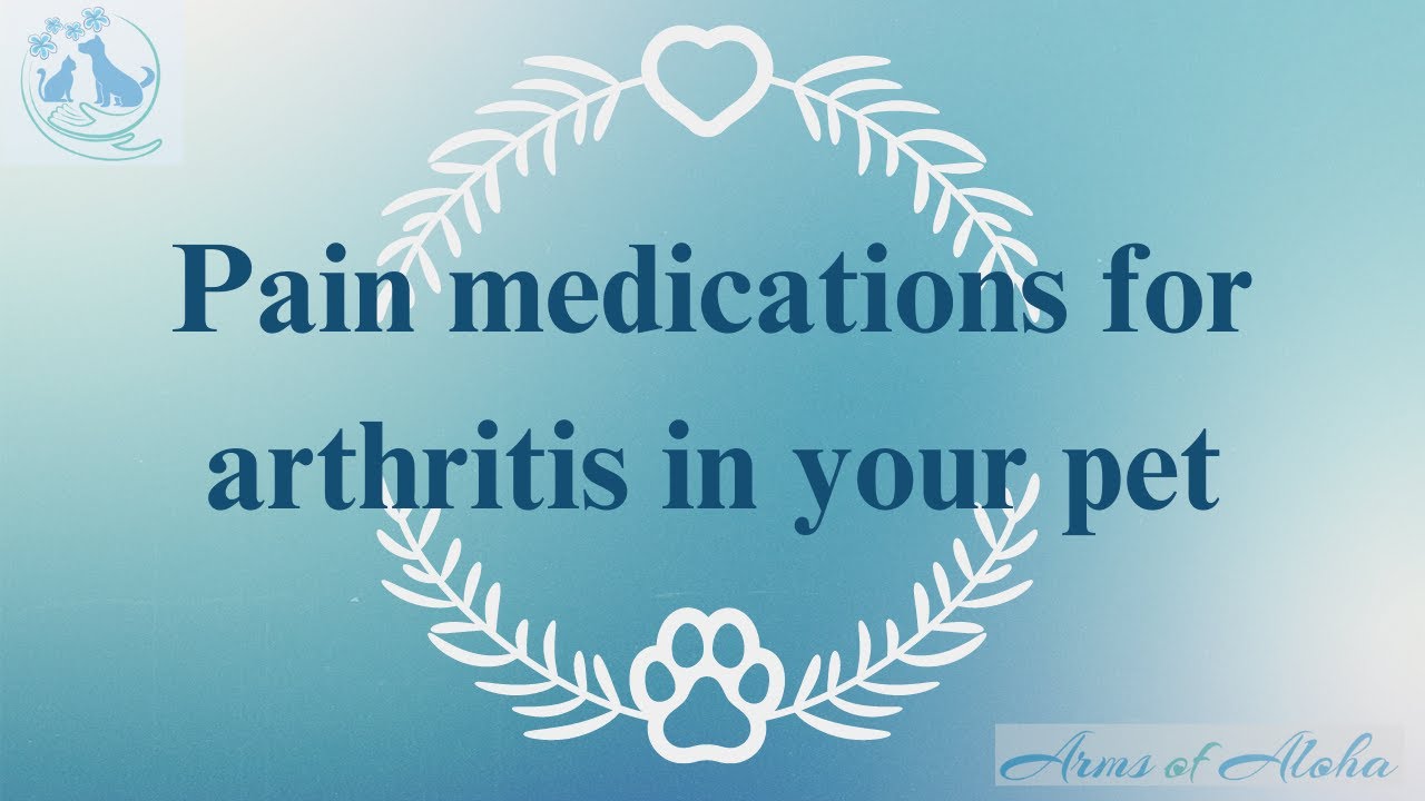 Types of medications used for reducing arthritis pain in pets