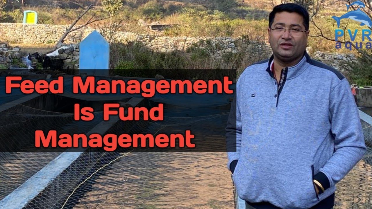 Feed Management Is Fund Management । How To Manage Fund In Aqua Farming। PvrAqua
