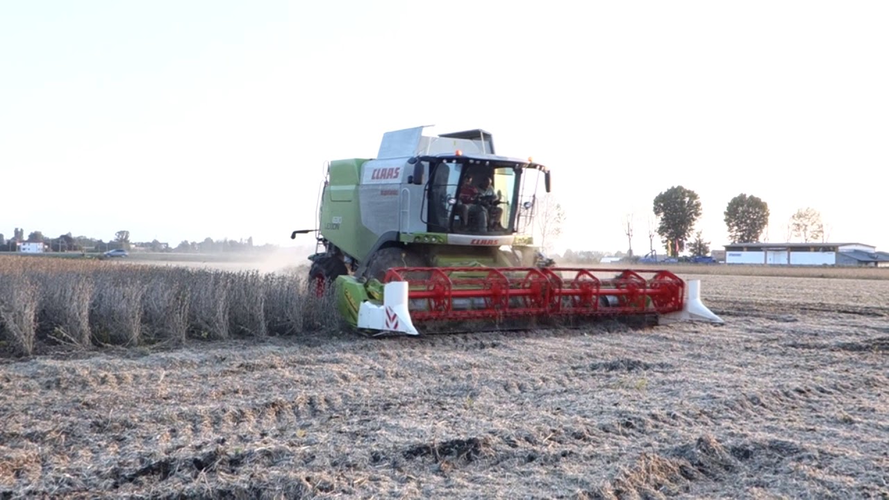 Claas Lexion 630 AC trebbiatura soia