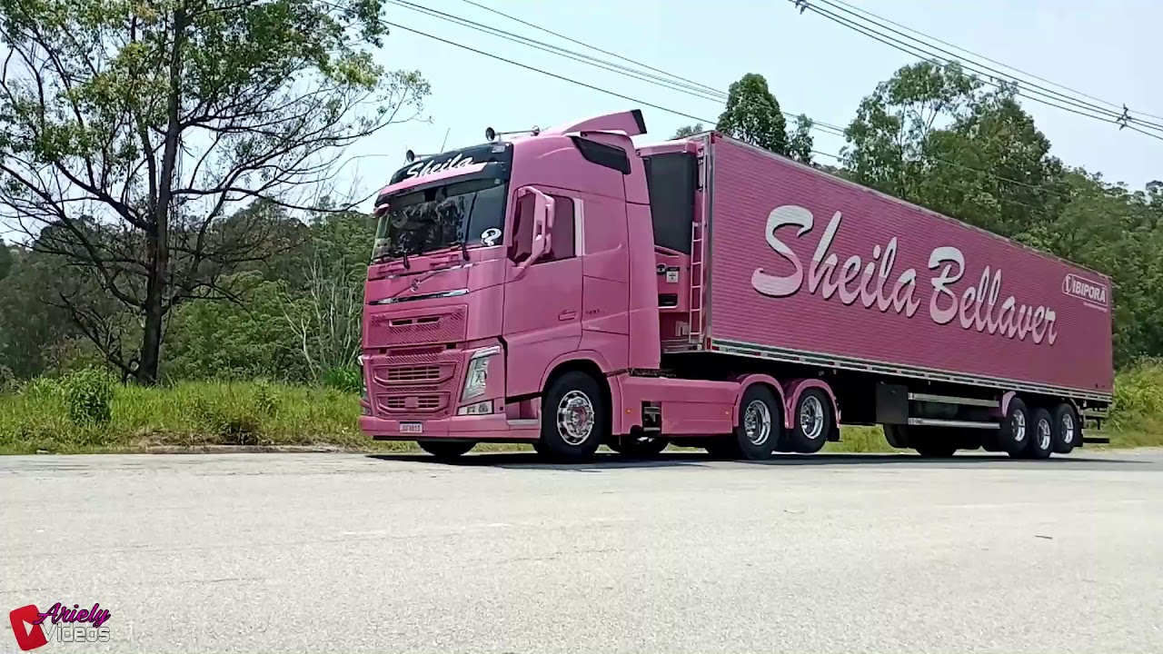 Sheila Bellaver Desfilando com seu FH500 no Tapet&atilde;o Preto