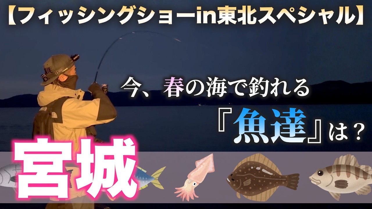 【４月 / 春】今、宮城の海で釣れる魚を徹底調査！