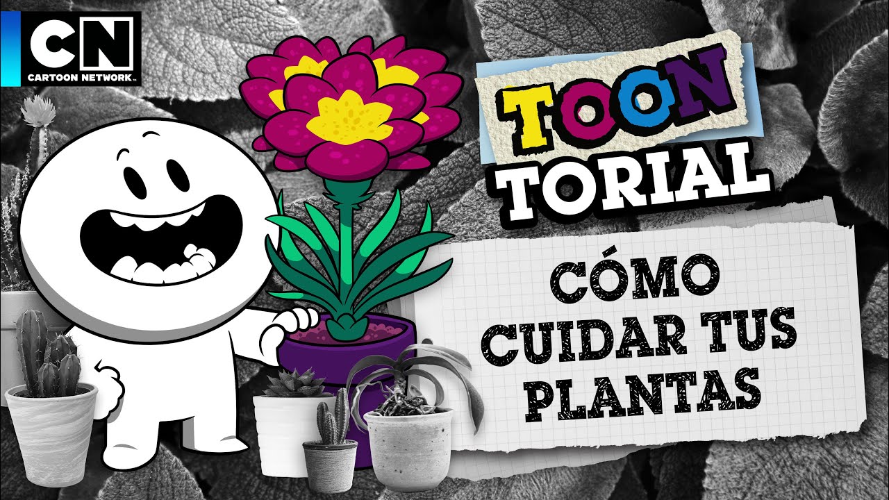 C&Oacute;MO CUIDAR TUS PLANTAS | TOONTORIAL | CARTOON NETWORK