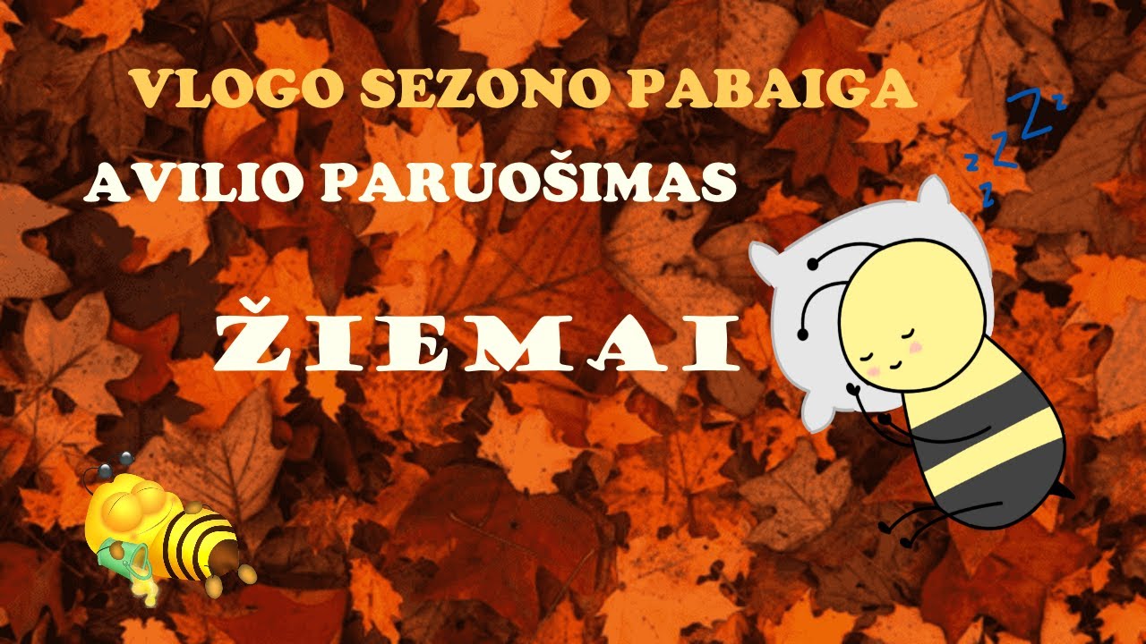 BIČIŲ AVILIO PARUOŠIMAS ŽIEMAI. Bičių nudūmijimas su Varidol.