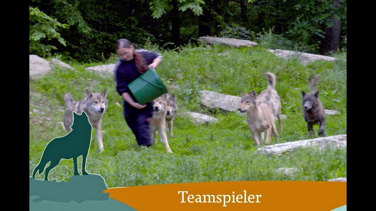 Wildpark Bad Mergentheim Imagefilm 2016