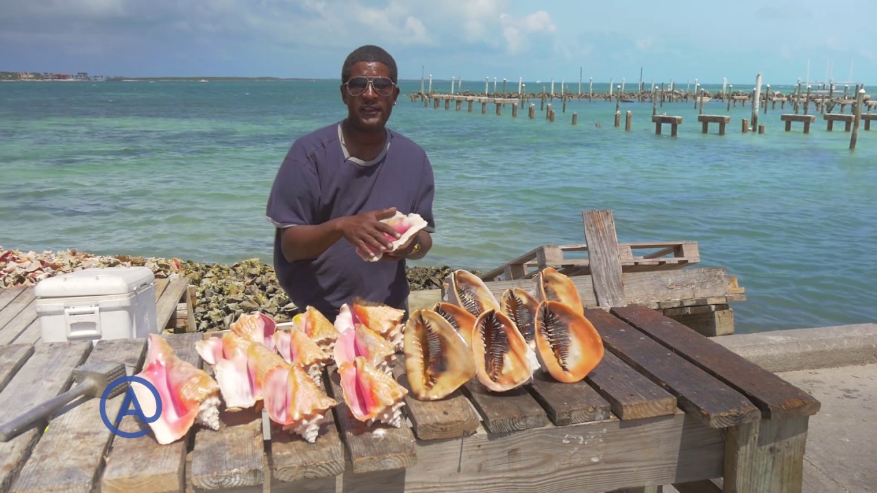 How to blow a conch - Atlantis Bahamas