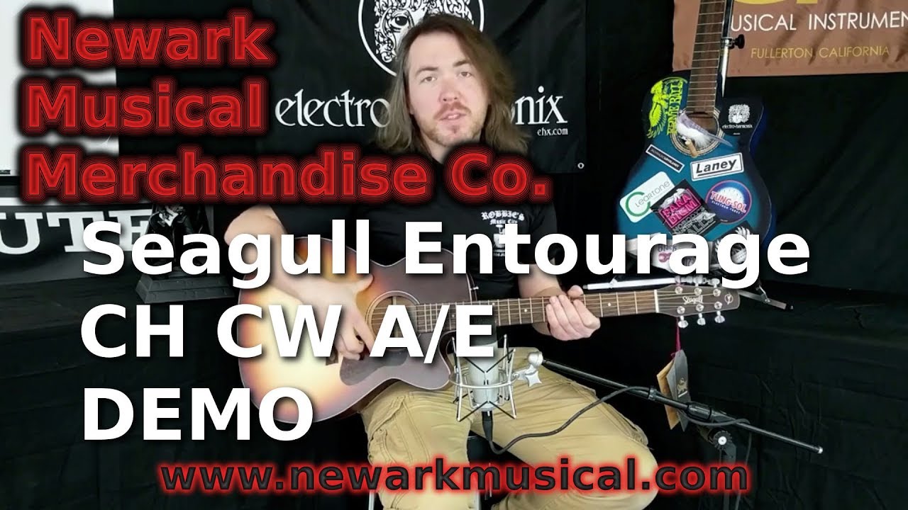 Seagull Entourage CH CW A/E Acoustic Guitar