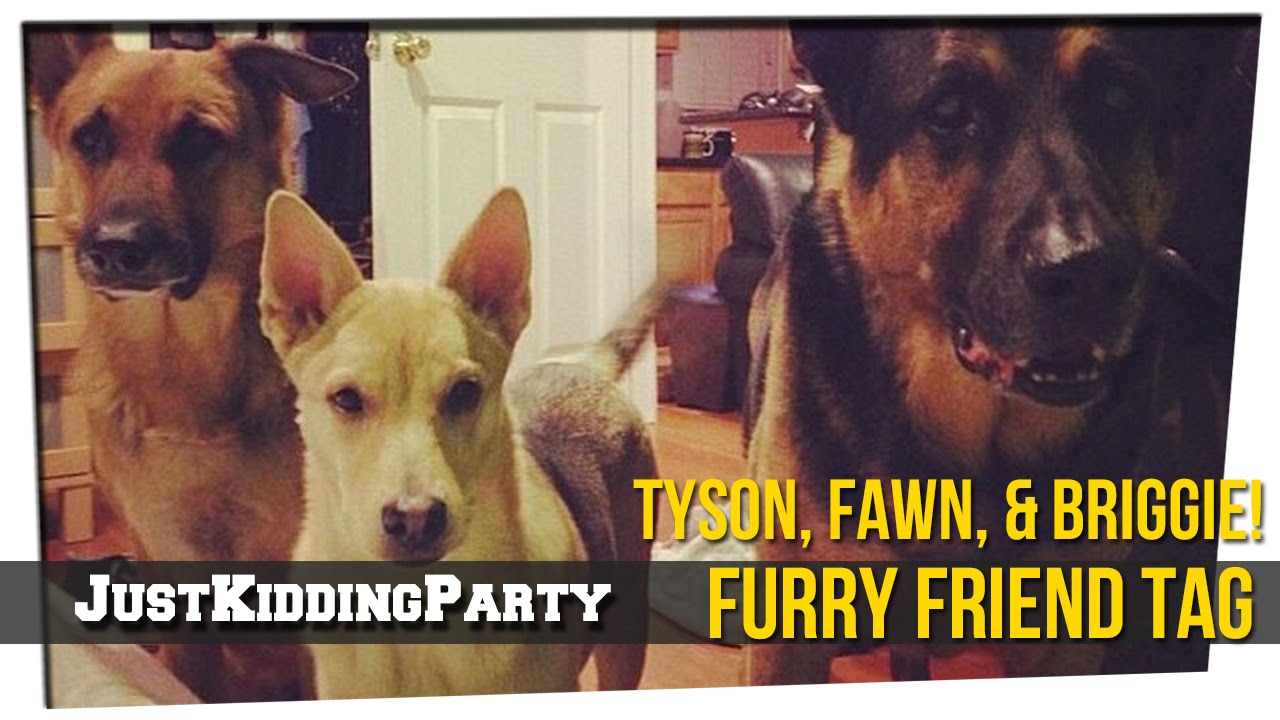 Furry Friend Tag ft Tyson, Fawn, Briggie, and Bart & Geo