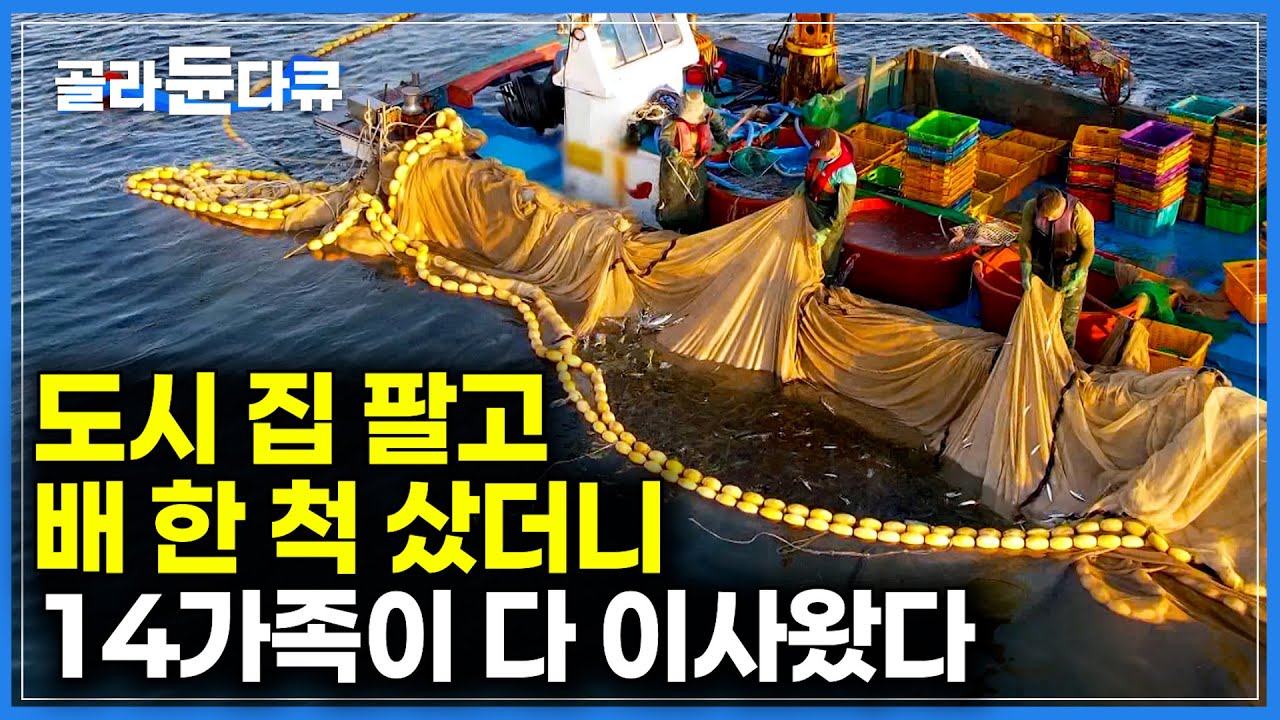 도시 삶 접고 아내 고향에서 배 한 척 산 남자｜매일 바다에 나가는 삶에 반해 14 가족이 다 이사왔다｜감포 삼치 잡이｜한국기행｜#골라듄다큐