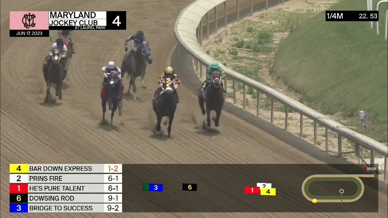 Laurel Park Carrera 4 - 17 de Junio 2023