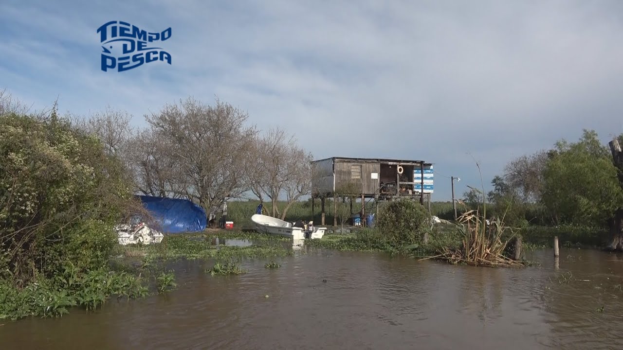 Despertar en la isla