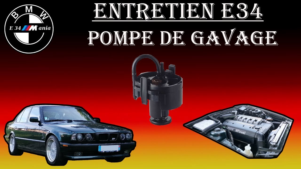Pompe de gavage BMW 525 TDS