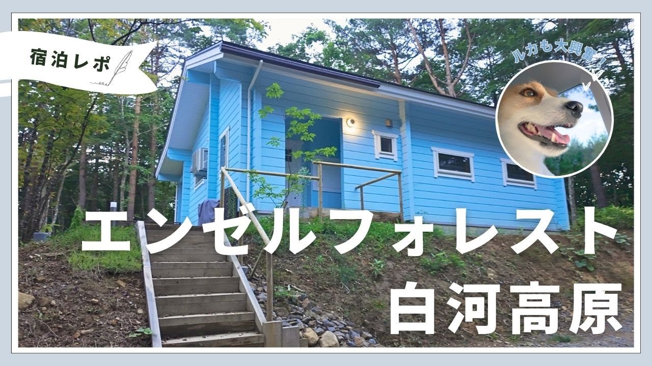 愛犬と一緒に贅沢ステイ！プライベートサウナ＆露天風呂を満喫したエンゼルフォレスト白河高原（ルモ）をご紹介